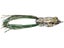 LIVETARGET Hollow Body Series Frog