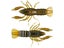 LIVETARGET ICT Unrigged Soft Plastic Craw
