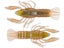 LIVETARGET ICT Unrigged Soft Plastic Craw