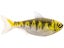 LIVETARGET ICT Unrigged Shad Swimbait