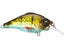Mach Baits Bouncer Crankbait