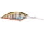 Biwako Clear Gill