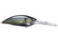 Jukucho Shad