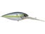 GP Sexy Shad