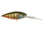 Biwako Clear Gill