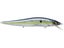 GP Sexy Shad