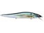 GG Threadfin Shad