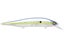 GP Sexy Shad