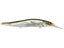 HT-Ito Tennessee Shad
