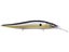 Megabass Sexy Shad