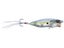 GP Sexy Shad