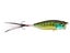 Pumpkinseed