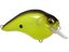 Black Back Chartreuse