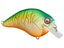 Megabass Hot Shad