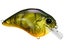 Phantom Green Craw