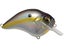 Megabass Sexy Shad