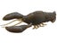 Megabass Sleeper Craw 1pk