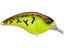 Chartreuse Dust
