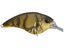 Green Craw