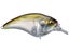 HT-Ito Tennessee Shad