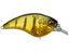 GP Pro Perch