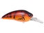 Wild Craw