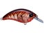 Ozark Craw