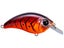 Strawbery Craw