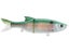 Ghost Gizzard Shad