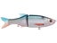 Threadfin Shad