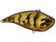 Molix Lipless Crankbait