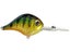 Bill Lewis MR-12 Crankbaits