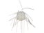 OSP Magnum 14mm Saikoro Dice Rubber Non-Salt Soft Bait