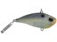 Molix Soft Lipless Vib 55 Crankbait