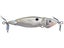 Molix Trago 65 Spyblade