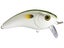 6th Sense Movement 60 WK Saltwater Wakebait