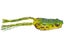 Molix Pop Frog