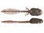 Nikko Fishing Zaza Tadpoles 5pk