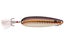 Nichols Lake Fork Flutter Spoon