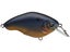 Black Shad