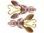 Nories Rock Claw Craw