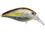 Nories Shot Omega Big 62 Squarebill Crankbait