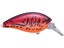 Nories Shot Omega Big 62 Squarebill Crankbait