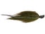Northland Minnesota Mullet Green Bluegill 3/4 oz 5/0