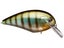 OSP Blitz Magnum SR Squarebill Crankbait