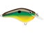 Bream