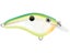Citrus Shad