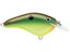 Hot Copper Green Shad