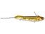 OSP Picro 68 I-Motion Bait