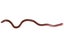 OSP MMZ Worm